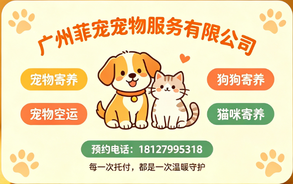 广州菲宠保定站